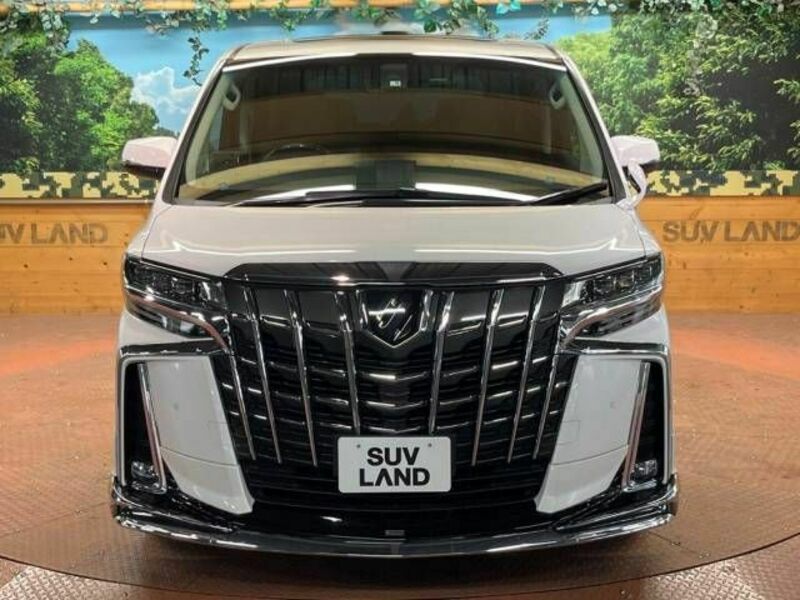 ALPHARD-16