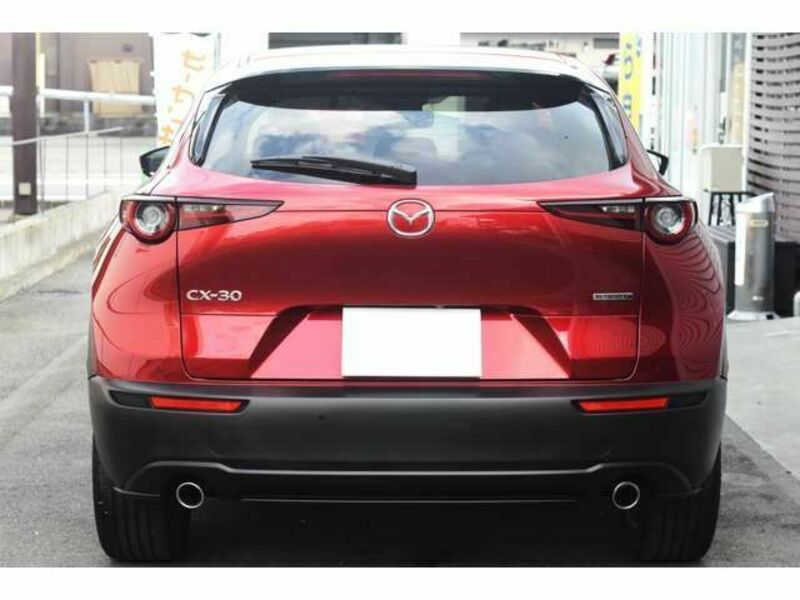 CX-30-10