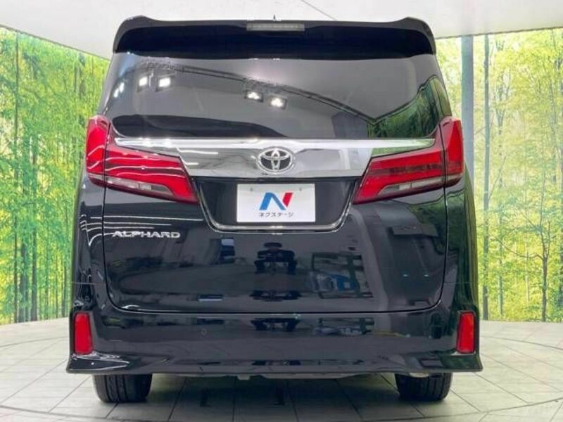 ALPHARD-16