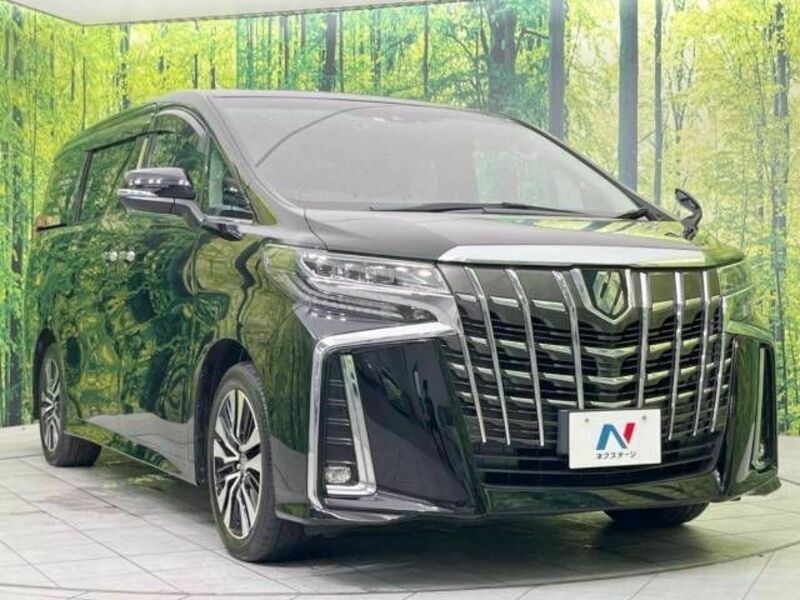 ALPHARD-17