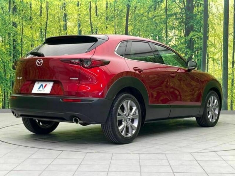 CX-30-17