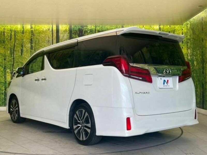 ALPHARD-17