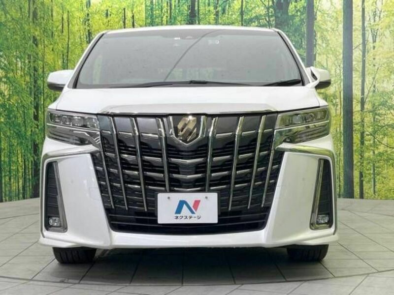 ALPHARD-15