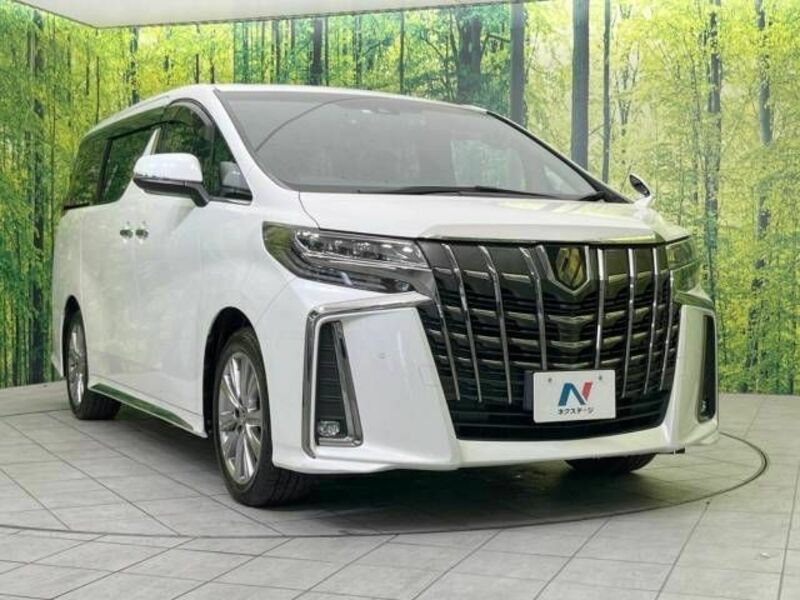 ALPHARD-17