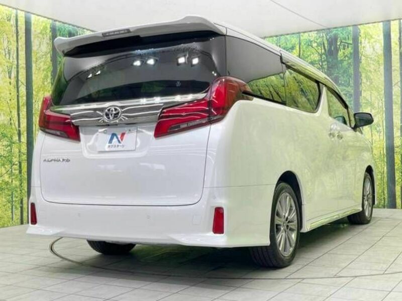 ALPHARD-18