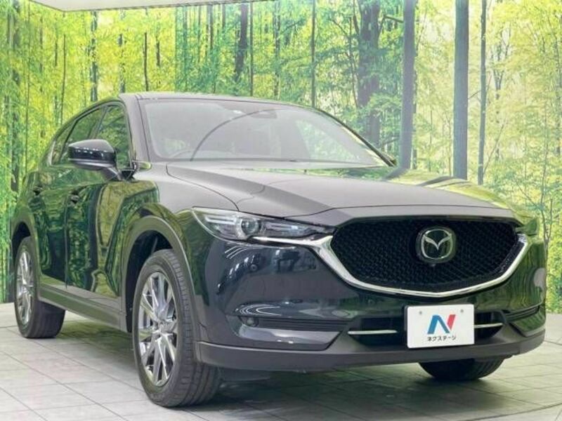 CX-5-16