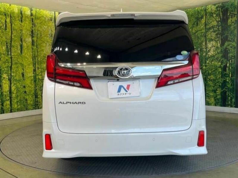 ALPHARD-16