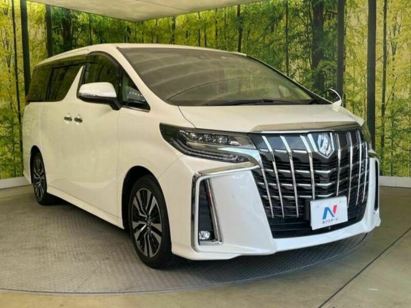 ALPHARD-17