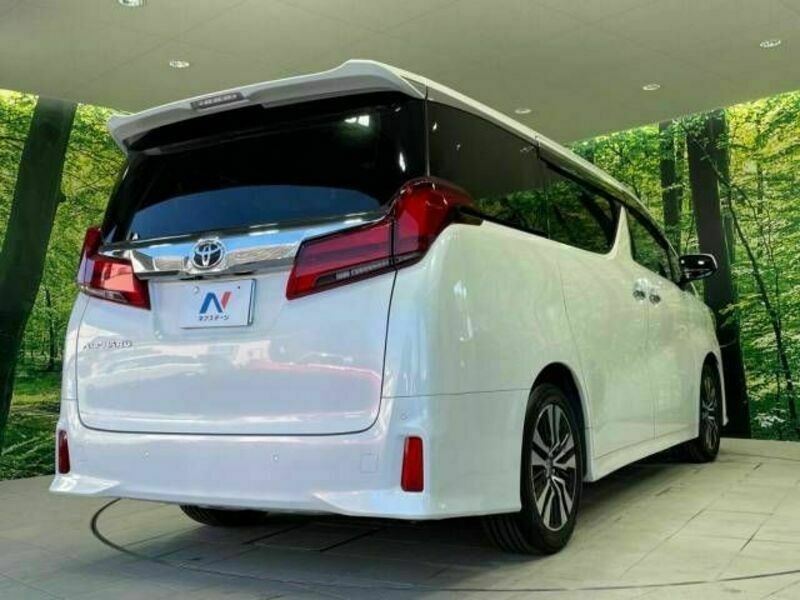 ALPHARD-16