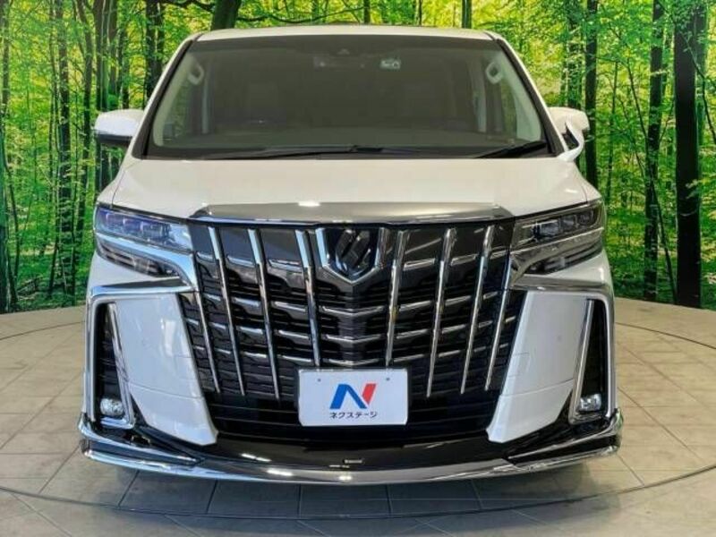 ALPHARD-16