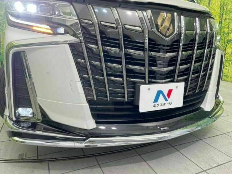 ALPHARD-14