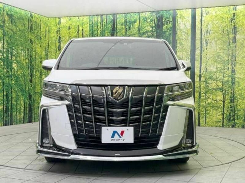 ALPHARD-16