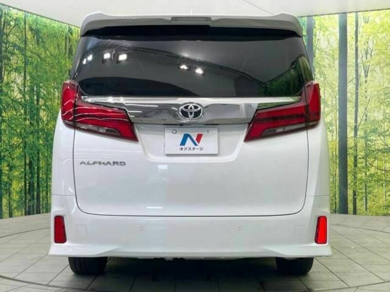 ALPHARD-17