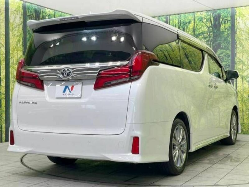 ALPHARD-19