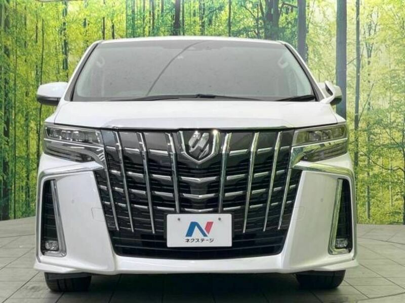 ALPHARD-15