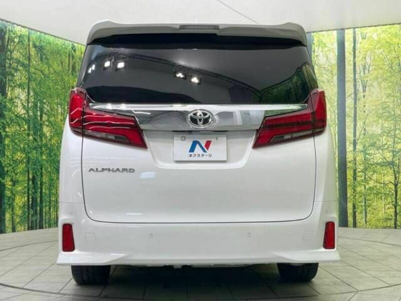 ALPHARD-16