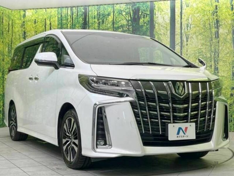 ALPHARD-17