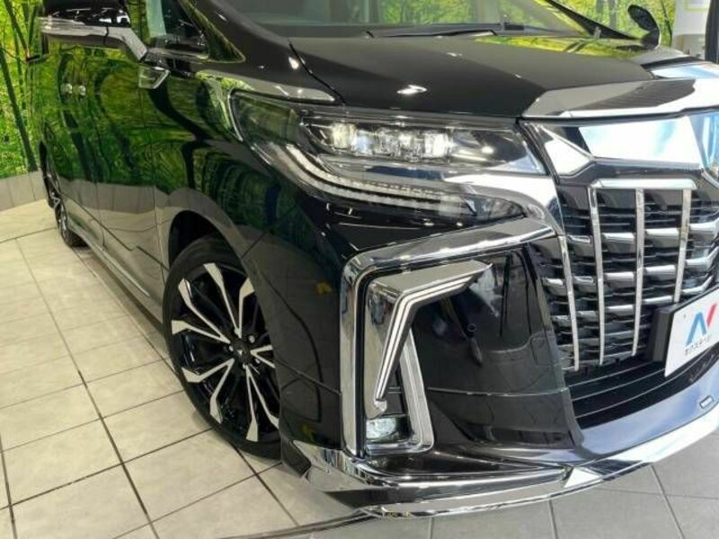 ALPHARD-14