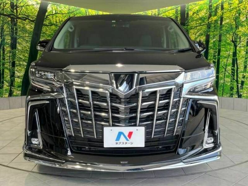 ALPHARD-16