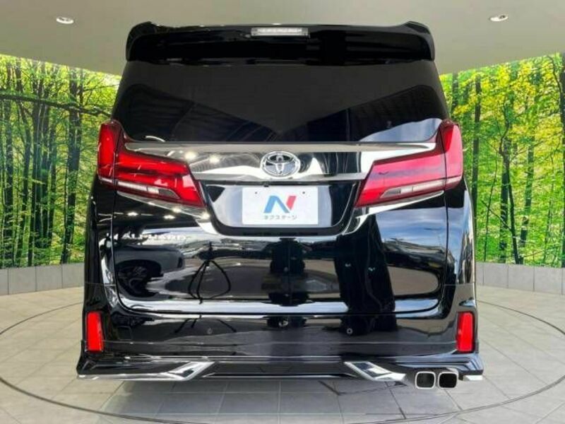 ALPHARD-17