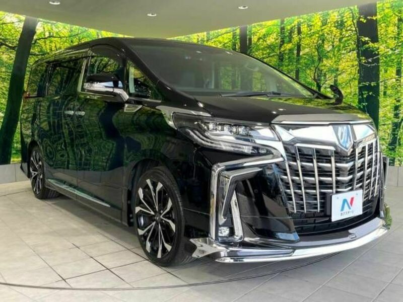 ALPHARD-18