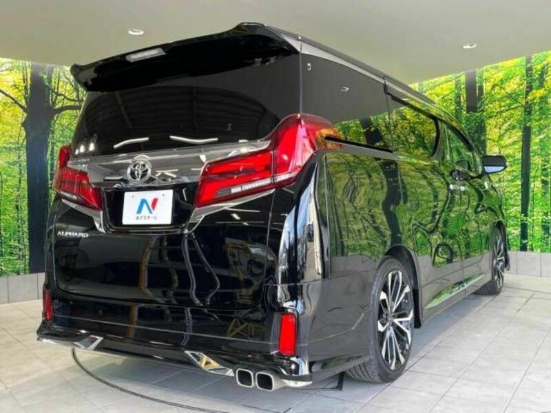 ALPHARD-19