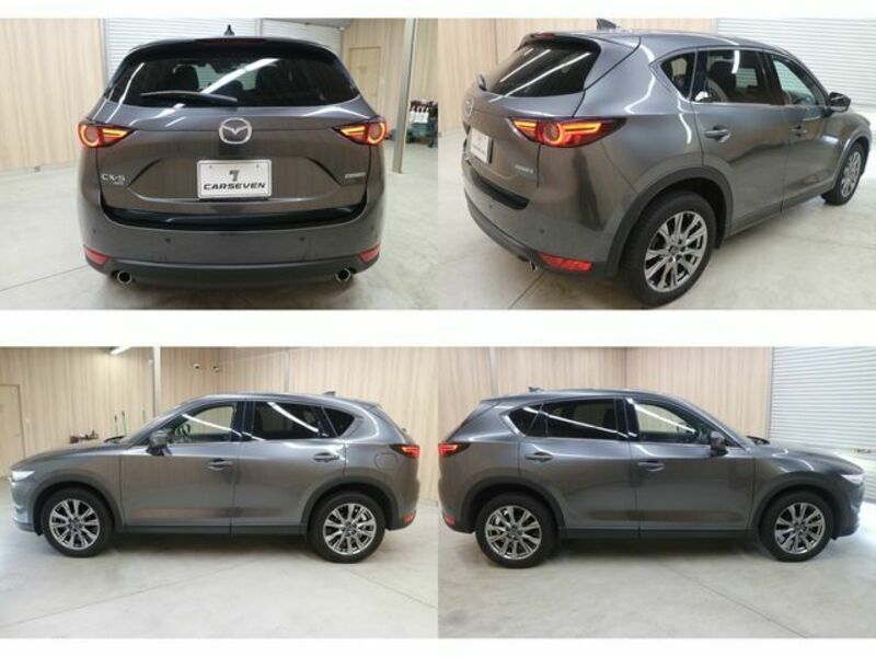 CX-5-21