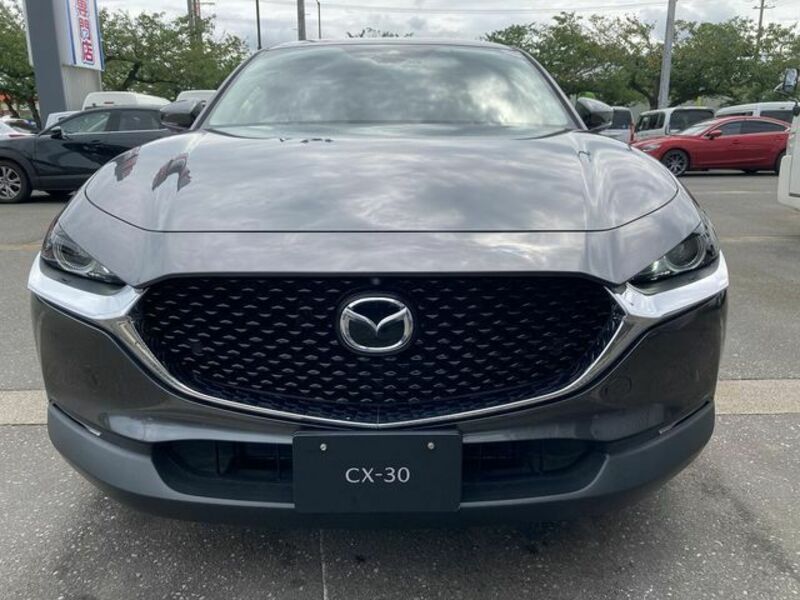 CX-30-1