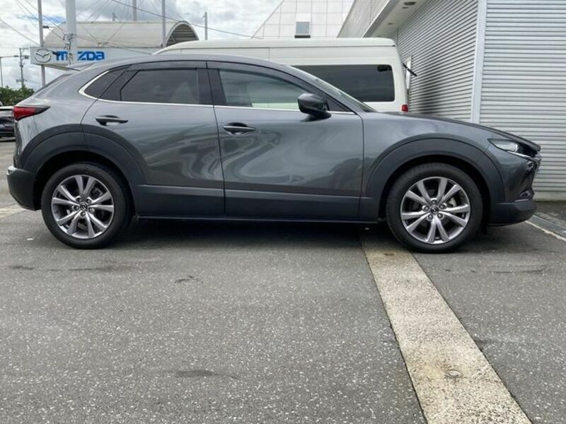 CX-30-3