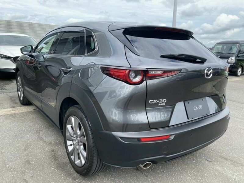 CX-30-6