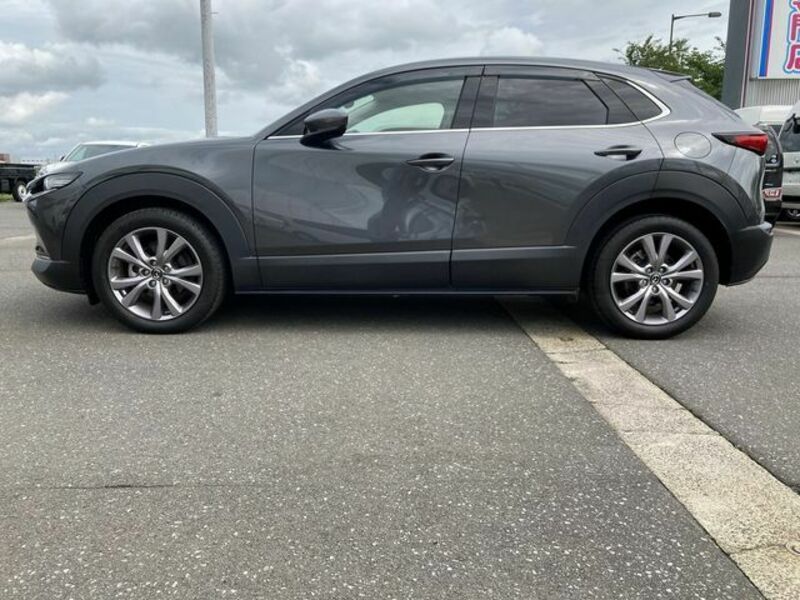 CX-30-7