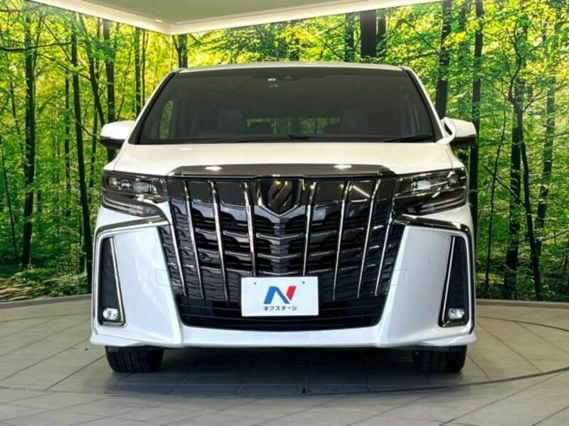 ALPHARD-15