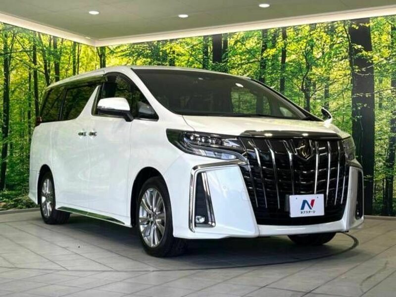 ALPHARD-17