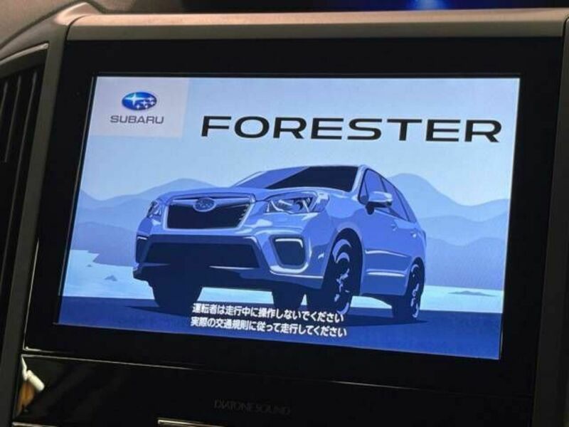 FORESTER-2