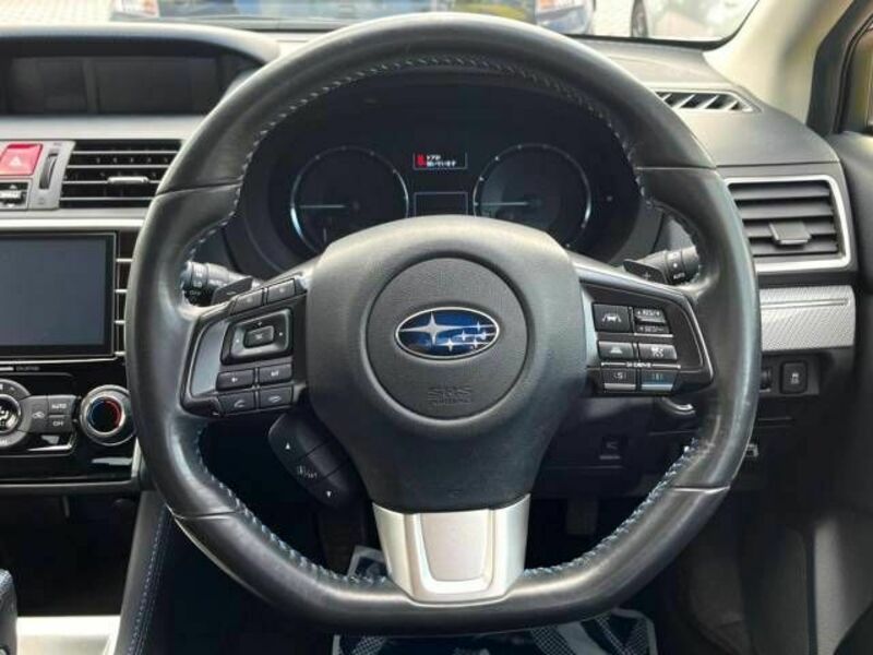 LEVORG-11