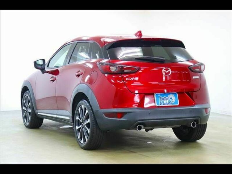 CX-3-19