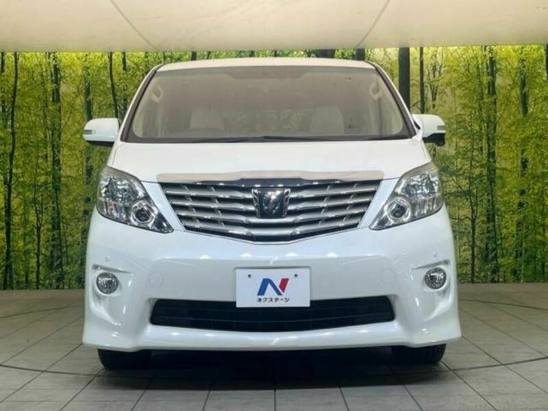 ALPHARD-15