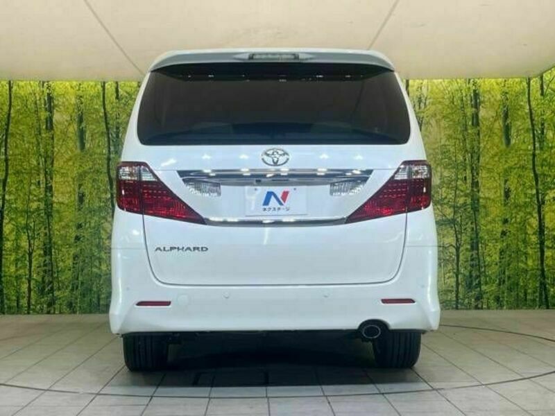 ALPHARD-16