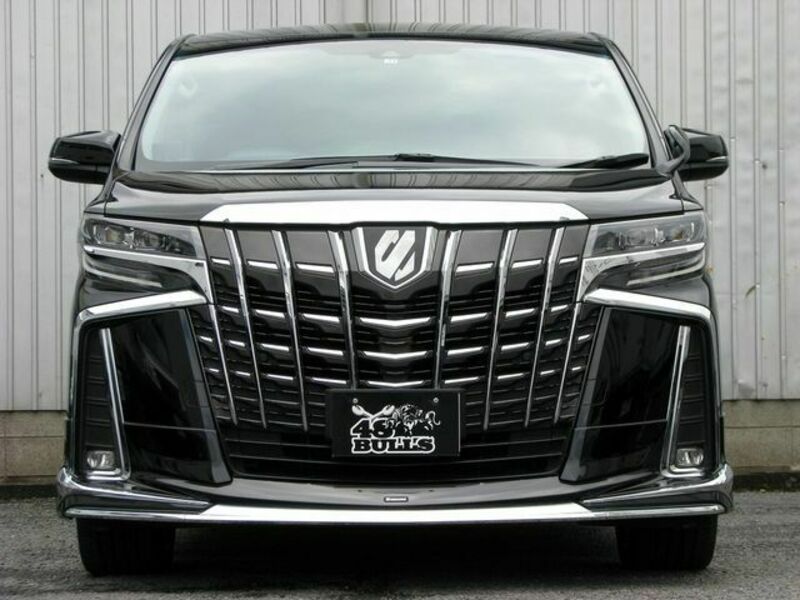 ALPHARD-17