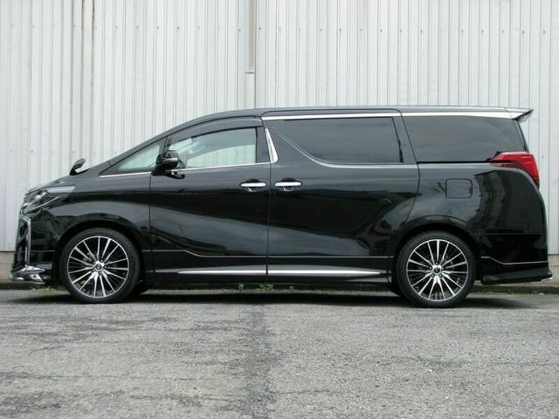 ALPHARD-19