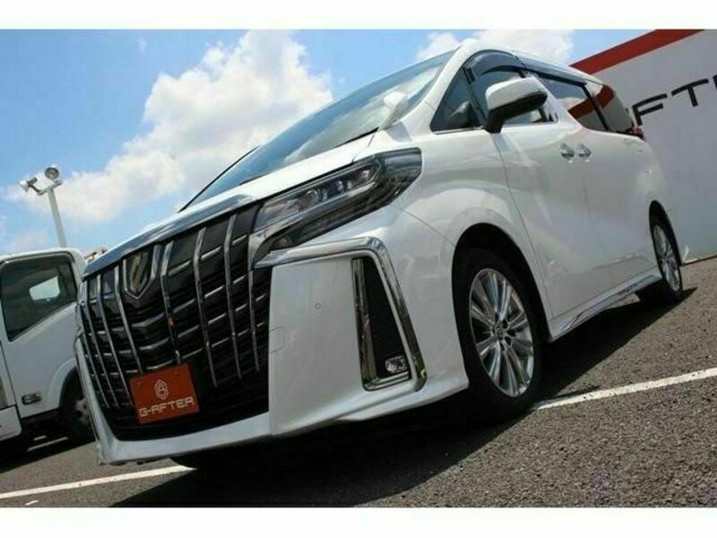 ALPHARD-10