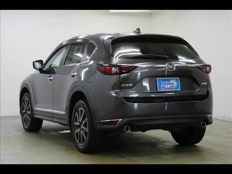 CX-5-19