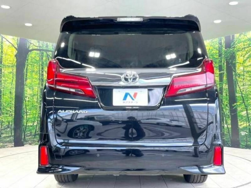 ALPHARD-16