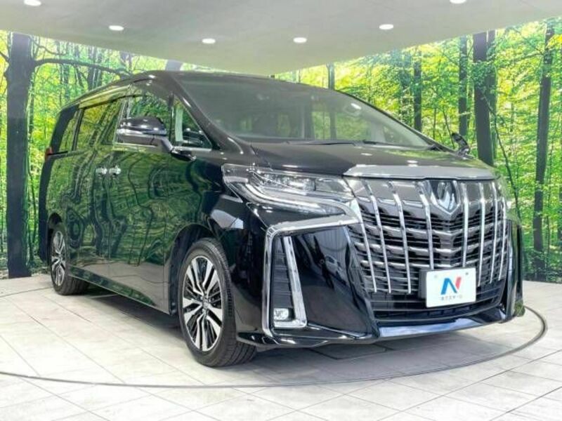 ALPHARD-17