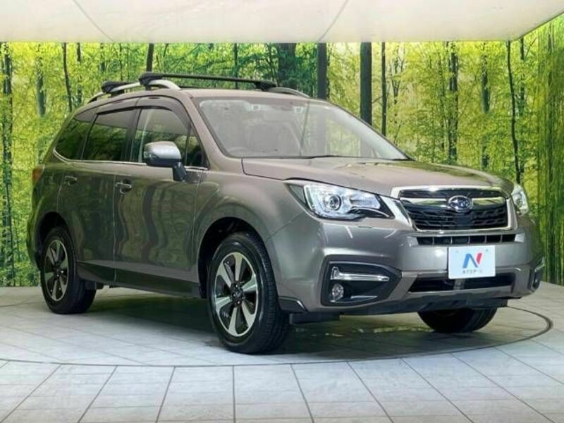 FORESTER-16