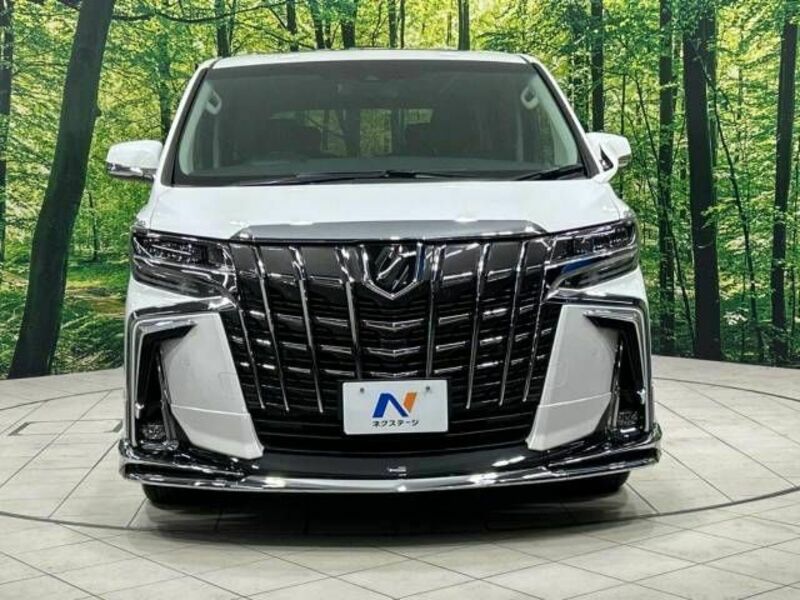 ALPHARD-15