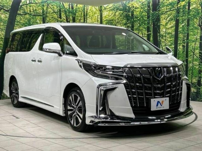 ALPHARD-17