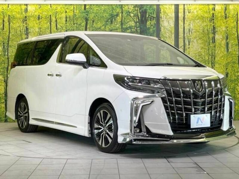 ALPHARD-17