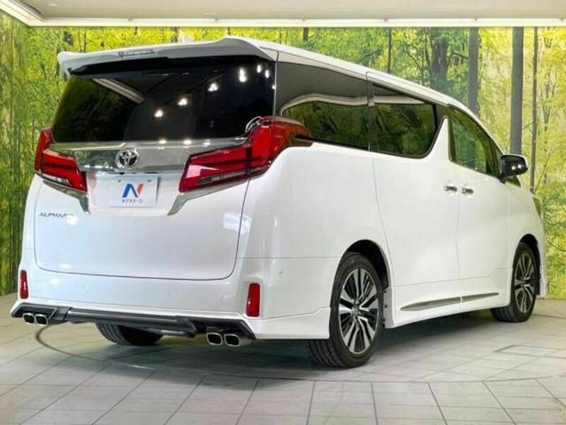 ALPHARD-18