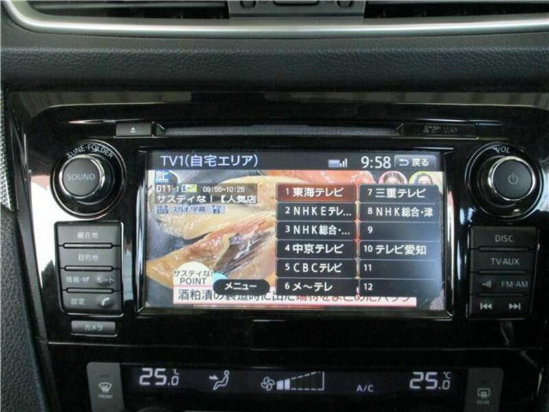 X-TRAIL-12